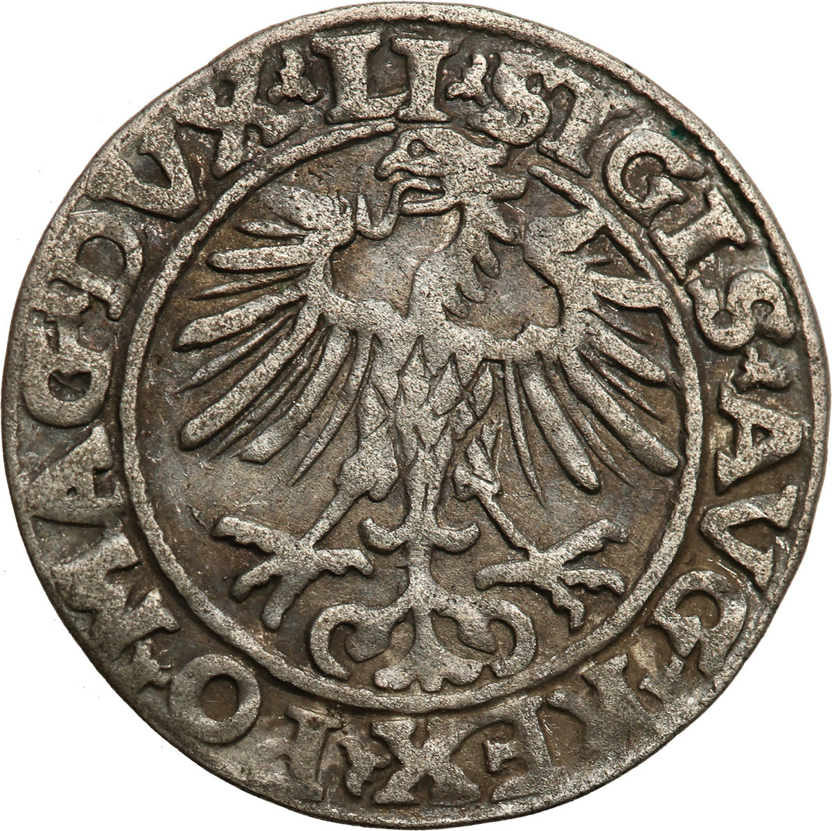 Zygmunt II August. Półgrosz 1553, Wilno - rzadszy rocznik